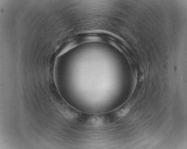 X0000069820416200605191116