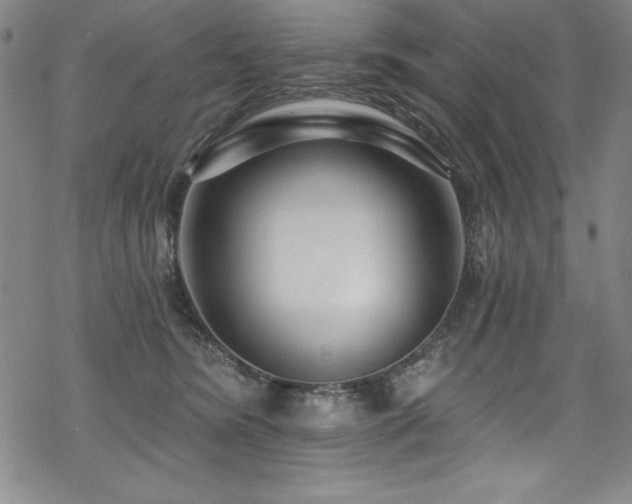X0000069820420200605191116