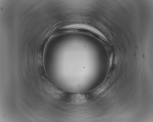 X0000069820421200605191116