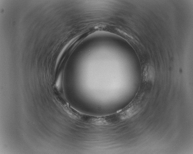 X0000069820424200605191116