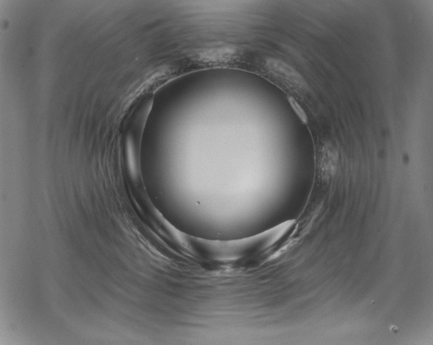X0000069820428200605191115