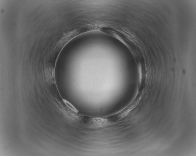X0000069820429200605191115
