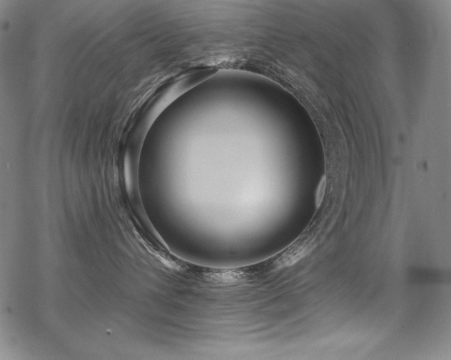 X0000069820432200605191115