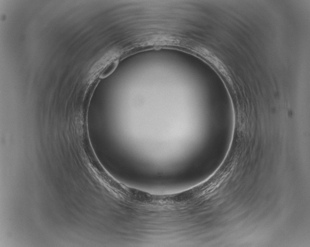 X0000069820437200605191115