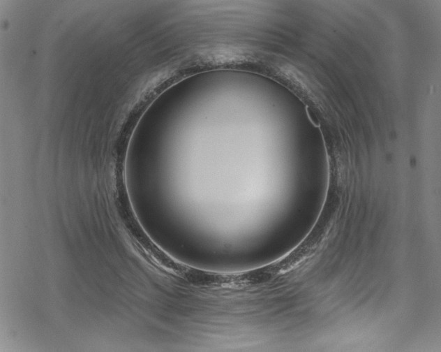 X0000069820447200605191115