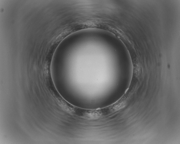 X0000069820466200605191115