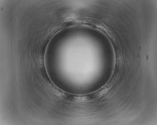 X0000069820469200605191115