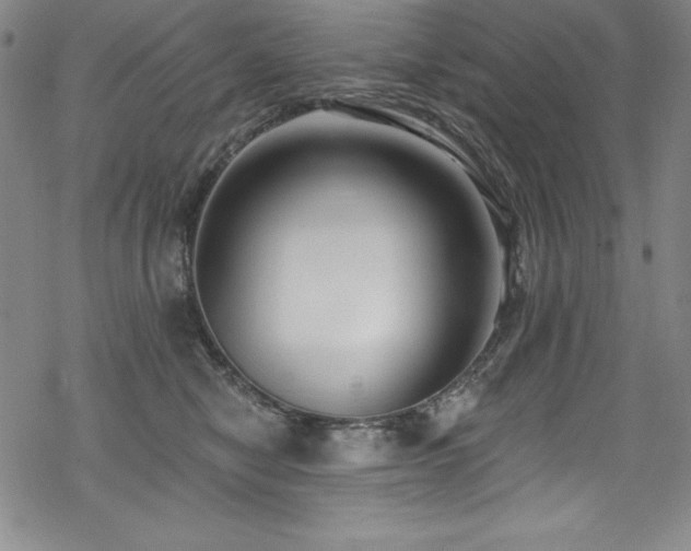 X0000069820470200605191115