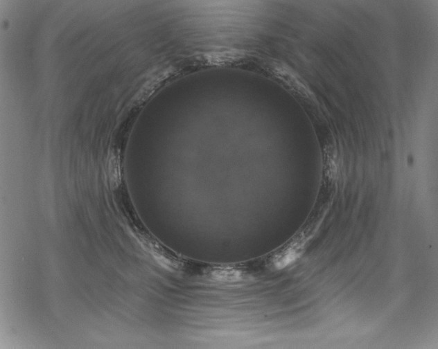 X0000069820471200605191115