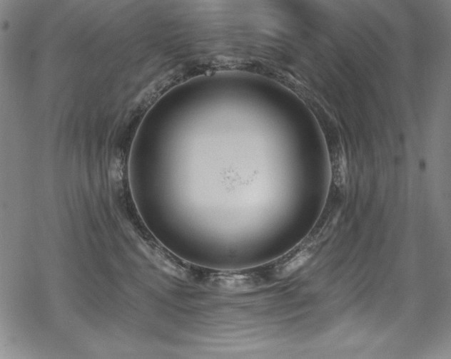 X0000069820472200605191115