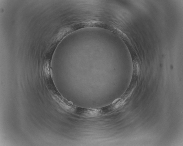 X0000069820479200605191115
