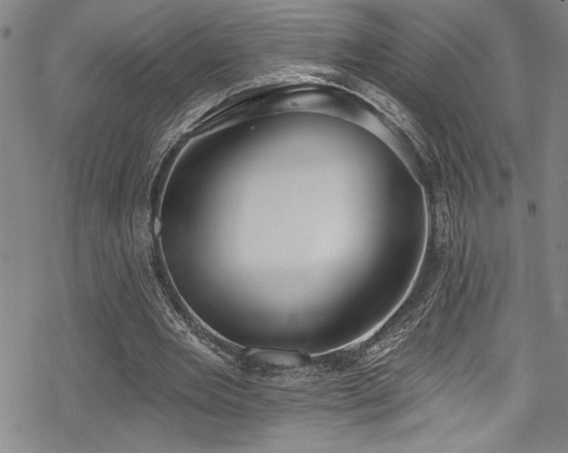 X0000069820485200605191114