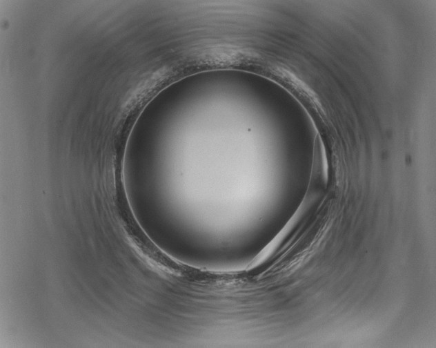 X0000069820493200605191114