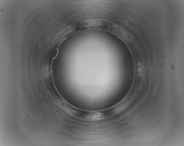 X0000069820514200605191114