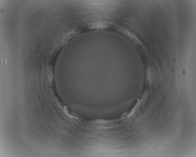 X0000069820517200605191114