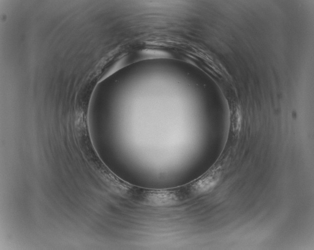 X0000069820521200605191114
