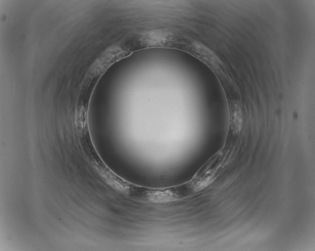 X0000069820525200605191114