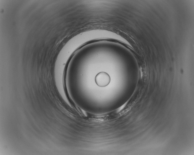 X0000069820572200605191114