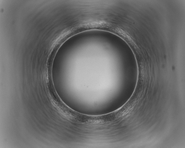 X0000069820582200605191113