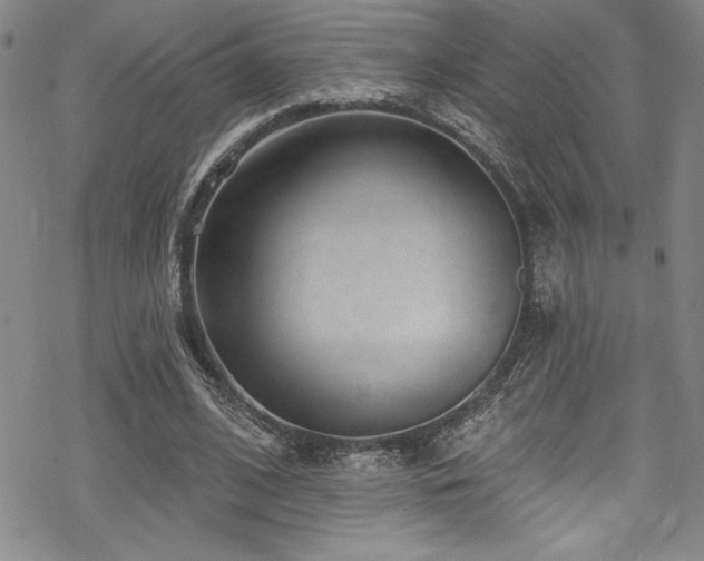 X0000069820584200605191113