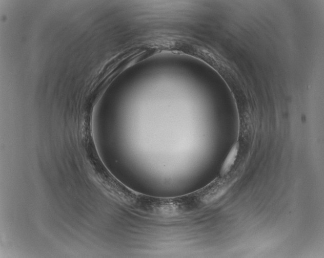 X0000069820600200605191113