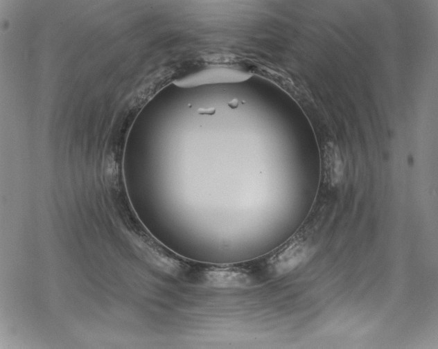 X0000069820614200605191112