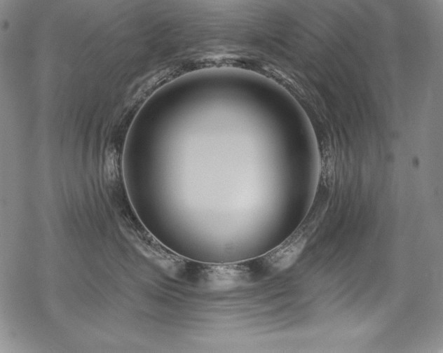 X0000069820623200605191112