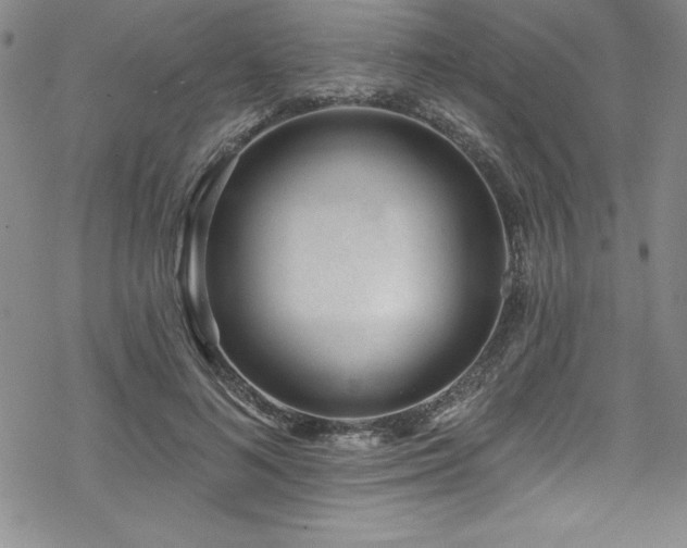 X0000069820692200605191111
