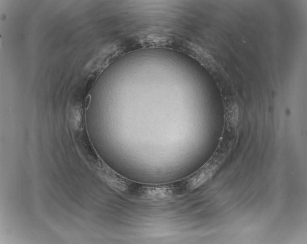 X0000069820709200605191111