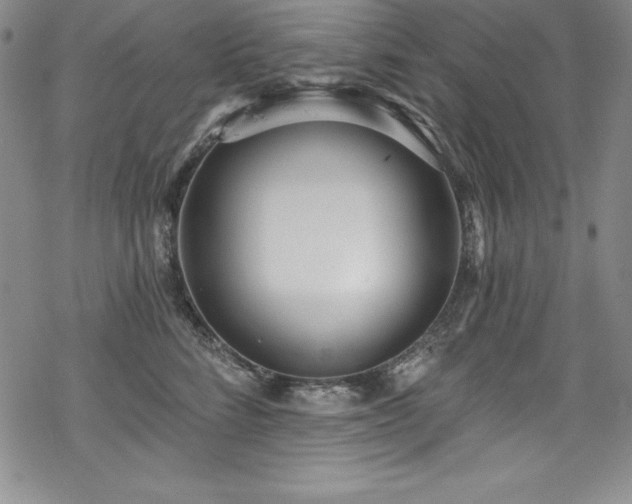 X0000069820712200605191111