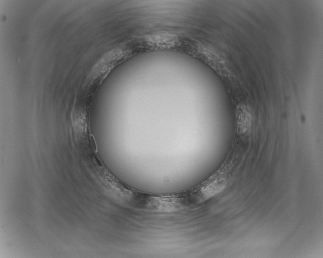 X0000069820713200605191111