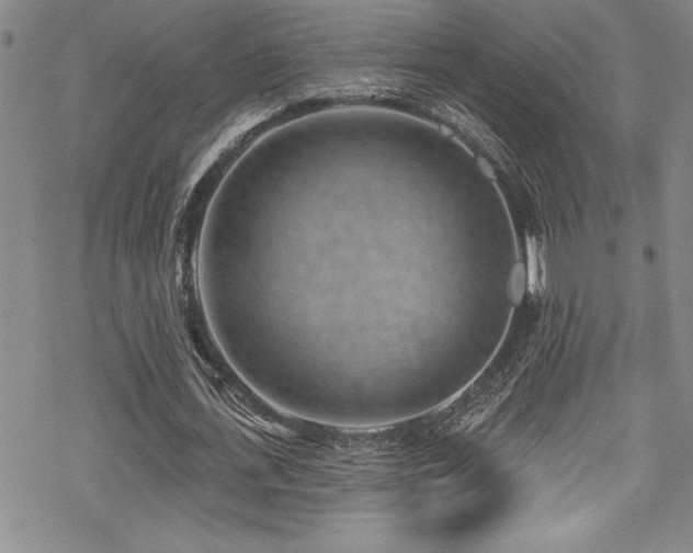 X0000069820723200605191110