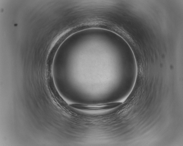 X0000069820724200605191110