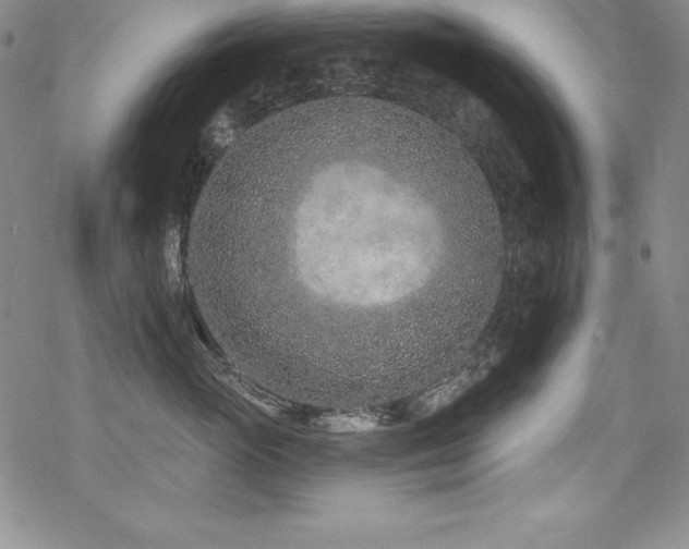 X0000069820765200605191111
