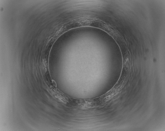 X0000069820772200605191110