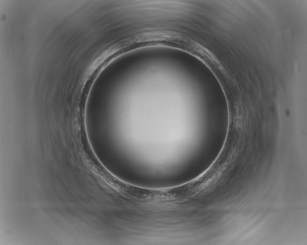 X0000069820786200605191109
