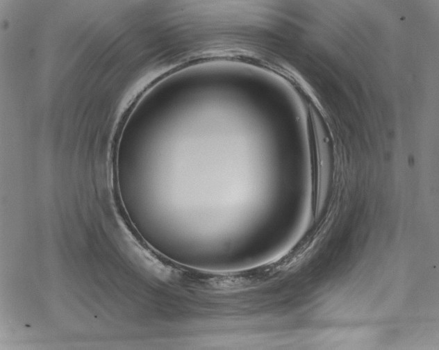 X0000069820795200605191109
