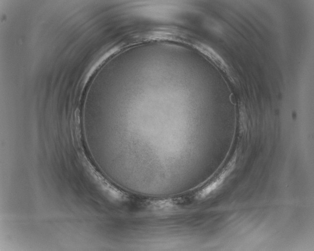 X0000069820798200605191109