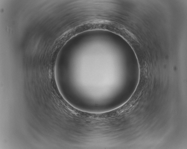 X0000069820821200605191108
