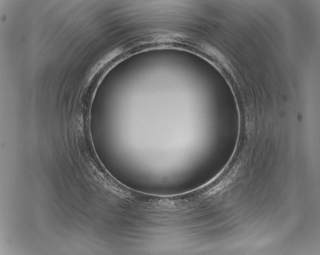 X0000069820827200605191108