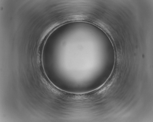 X0000069820835200605191109