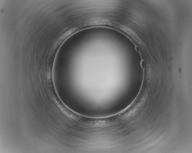 X0000069820841200605191109