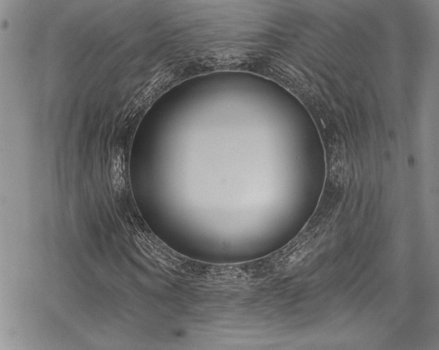 X0000069820866200605191108