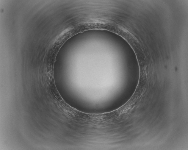 X0000069820870200605191108