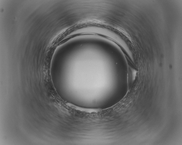 X0000069820872200605191108