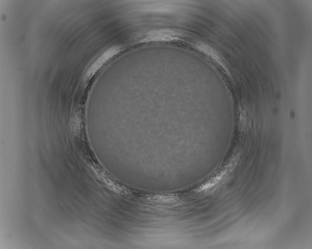 X0000069820874200605191108