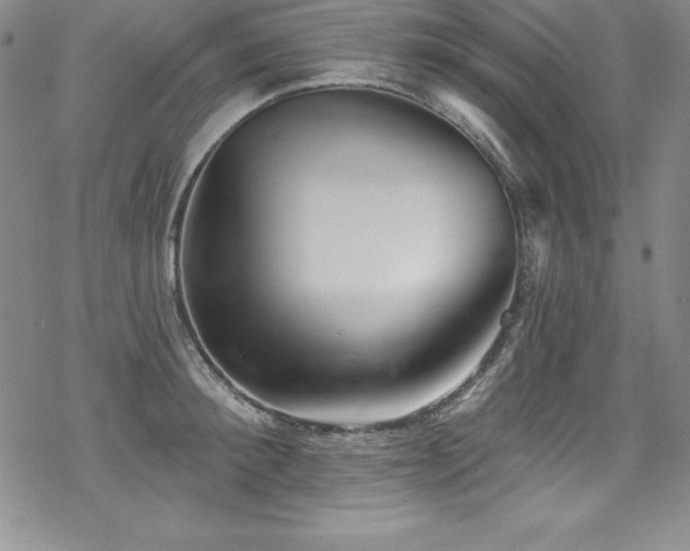 X0000069820900200605191108