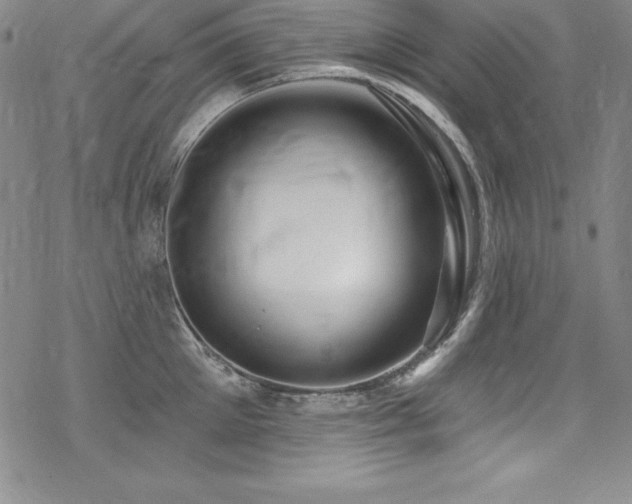X0000069820905200605191108
