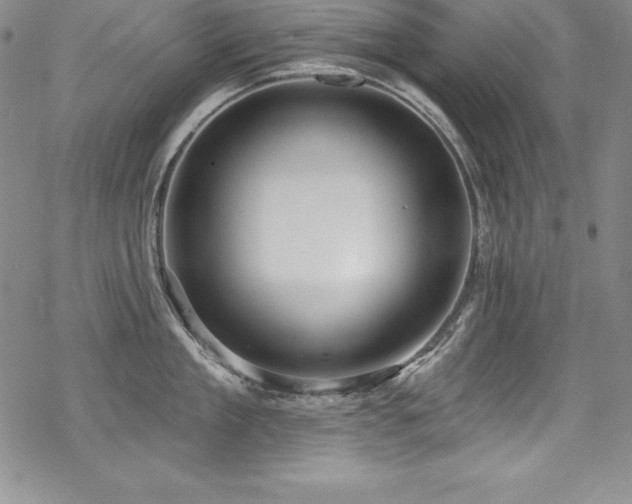 X0000069820909200605191107
