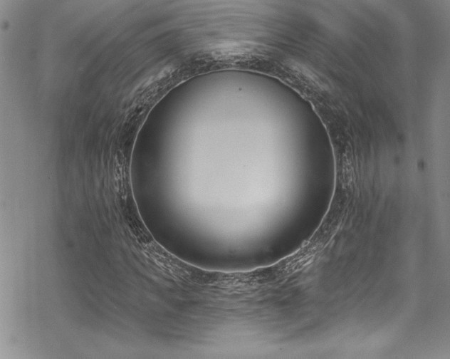 X0000069820917200605191107